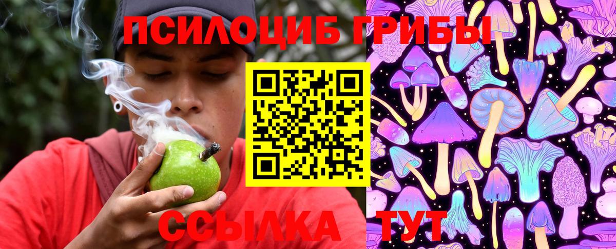 Псилоцибиновые грибы Magic Shrooms  Вход с VPN  Псилоцибиновые грибы мухоморы  Хасавюрт 