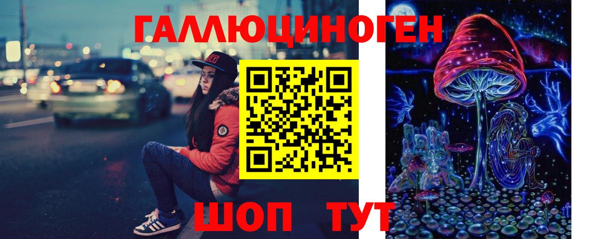 Псилоцибиновые грибы прущие грибы Хасавюрт